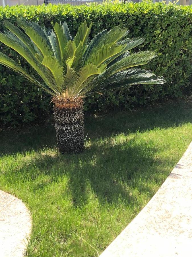 Appartamento L'Ulivo Brancaleone Marina Exterior foto